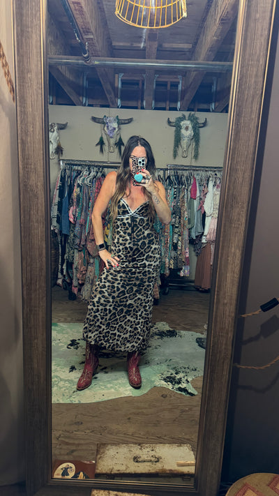 Mesh leopard dress
